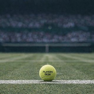 Grass court